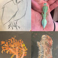 Collage of four images: a line drawing of an owl, a hand holding a leaf stick insect, a pastel drawing of a coral, and a pastel drawing of a fossil dinosaur jawbone