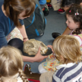 Staff member showing an object to a group of children