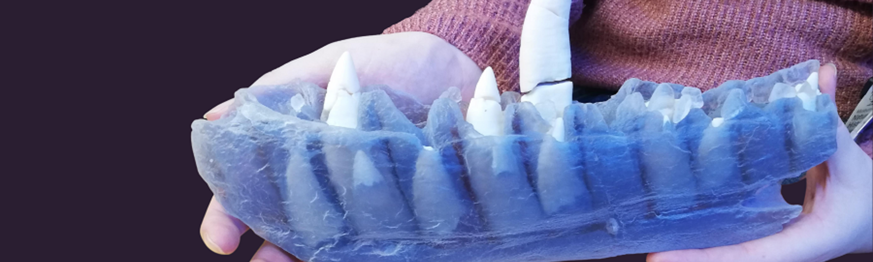 3D print of dinosaur jaw bone held by person wearing protective gloves