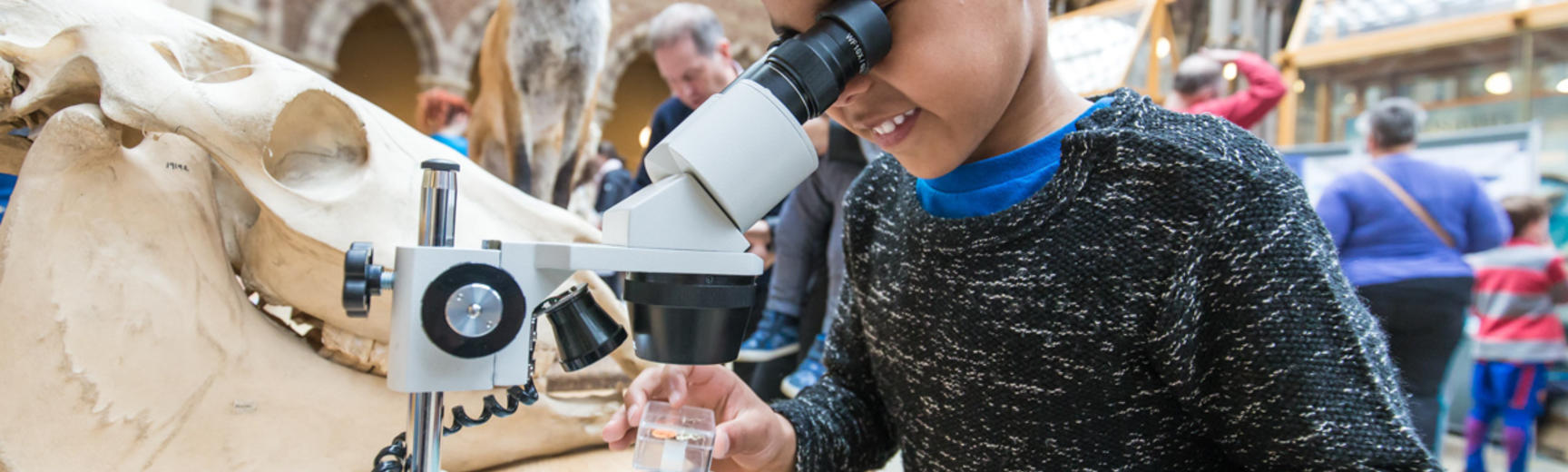 A child at a Museum of Natural History event looking into a microscope