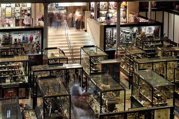 Gallery View, Pitt Rivers Museum