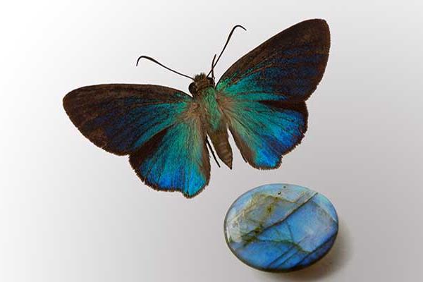 Madagascan Labradorite gem and Butterfly  