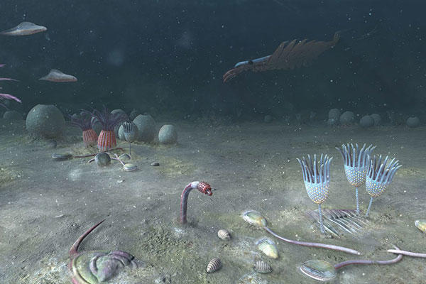 Colourful artist's impression of the sea floor 518 million years ago