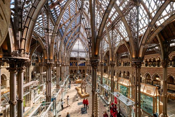 Museum of Natural History gallery from above