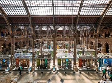 Neo-Gothic museum interior pictured from above, featuring large glass display cases.