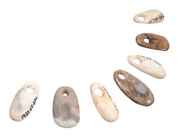 Set of seven oblong bone pendants