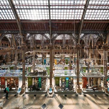 Neo-Gothic museum interior pictured from above, featuring large glass display cases.