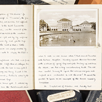 A selection of items from the David Healey archive