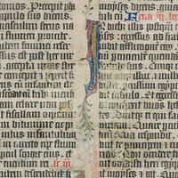 Illuminated medieval manuscript with dense black text and some colour illustration